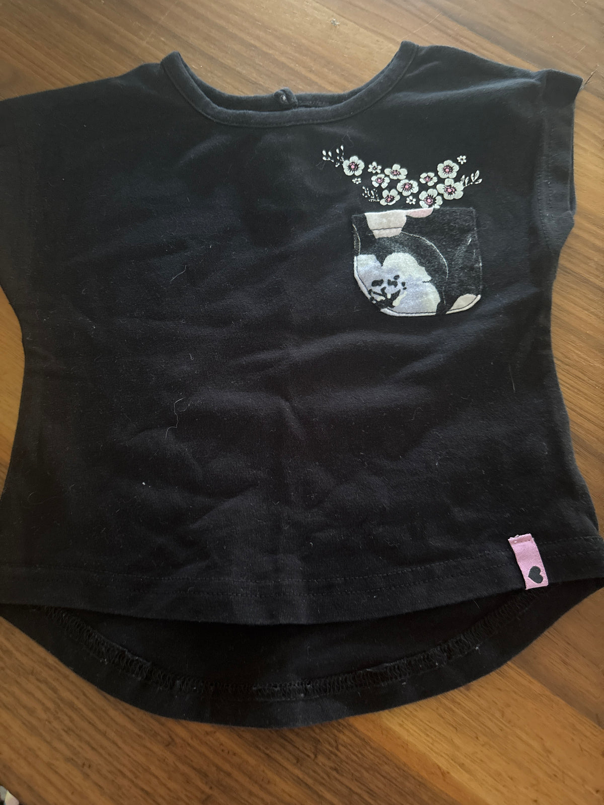 Le chat botté 3 mois